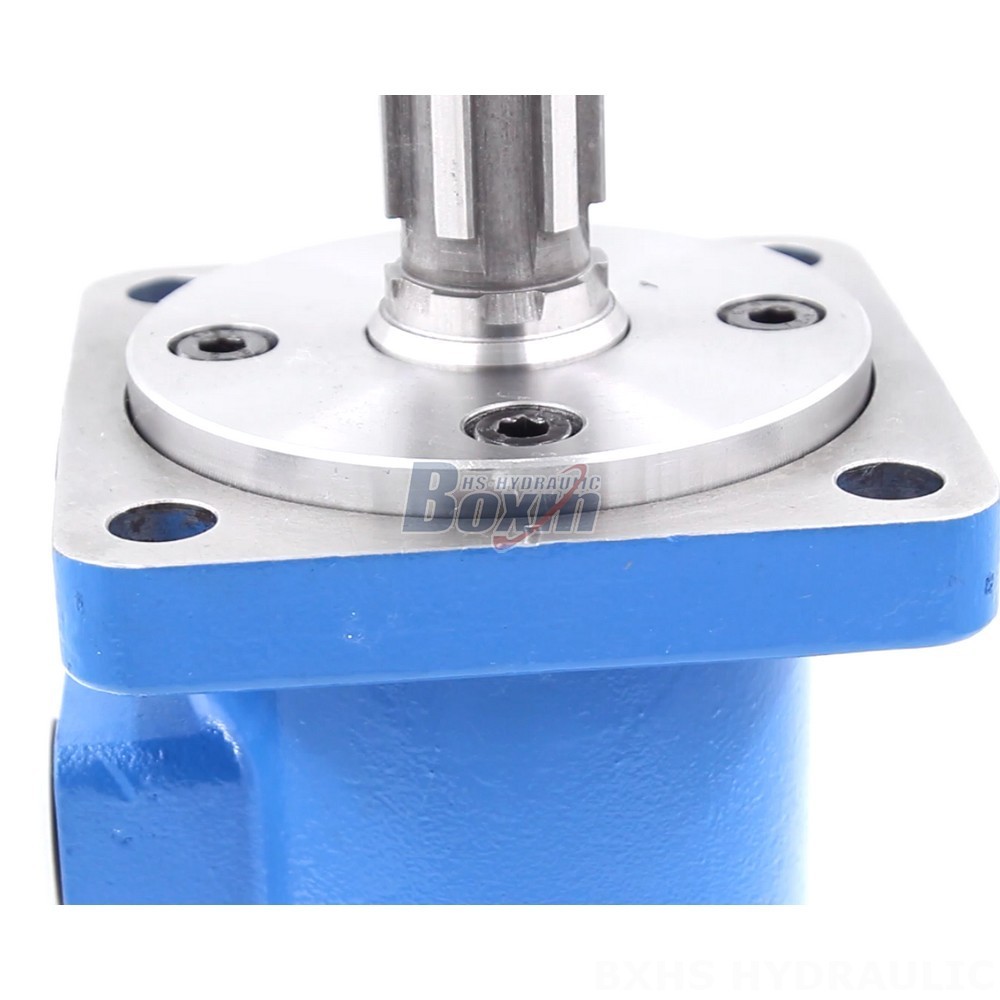 BM3 Cycloid Hydraulic Motor 100 cc/r 50 Lpm - Factory Direct Supply detail image